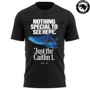 Indiana Fever Caitlin Clark Nothing Special To See Here 2026 T Shirt 3
